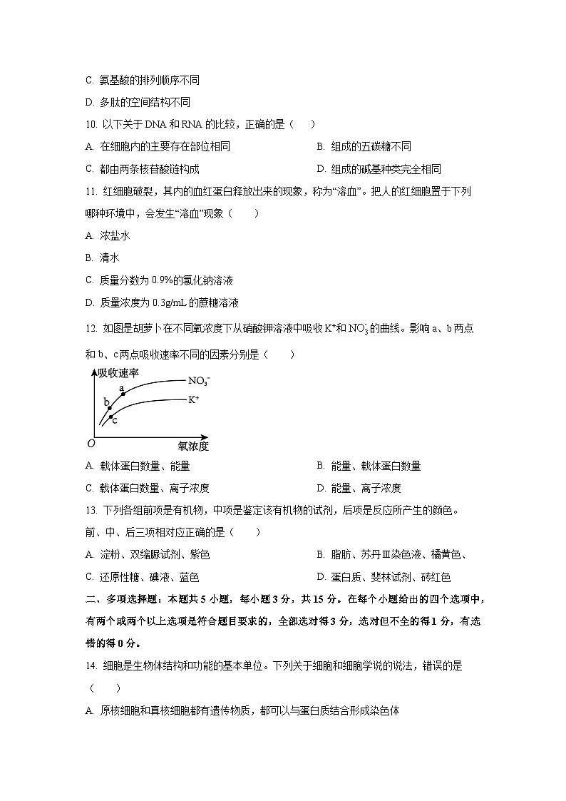 河北省沧州市盐山县2025-2026学年高一上学期11月期中生物试卷（学生版）第3页