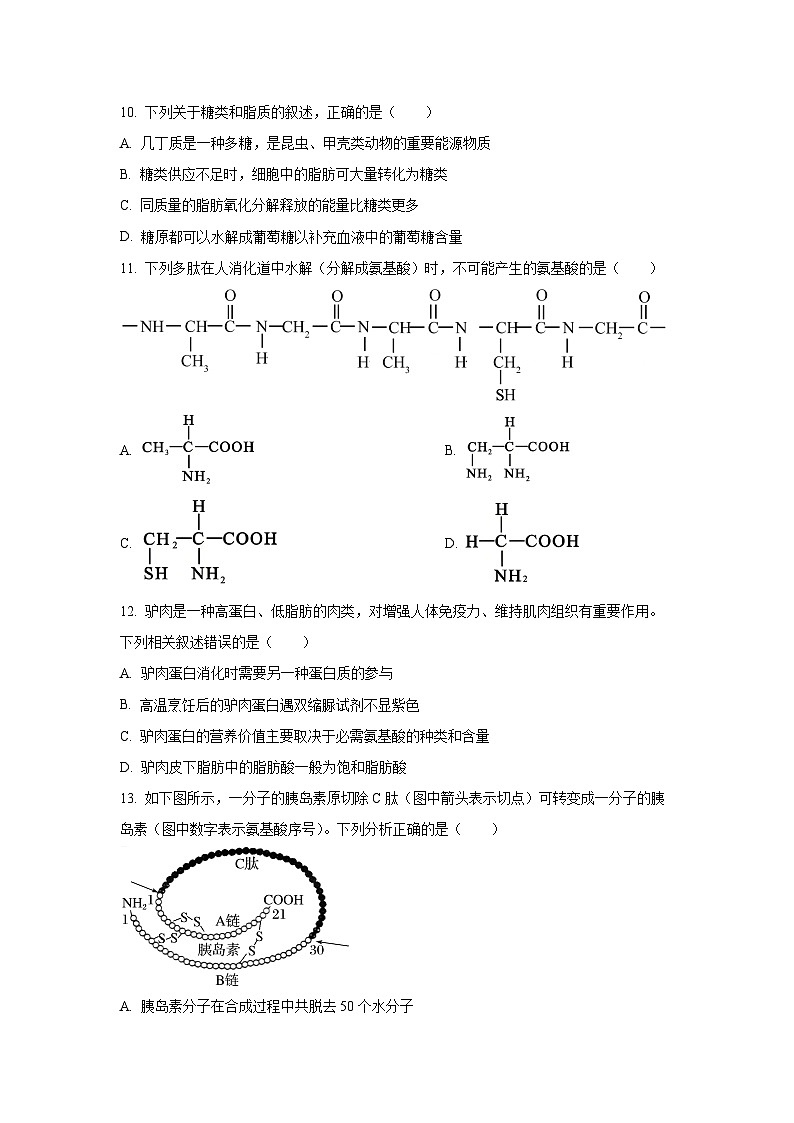 广东省四校2025-2026学年高一上学期期中联考生物试卷（学生版）第3页