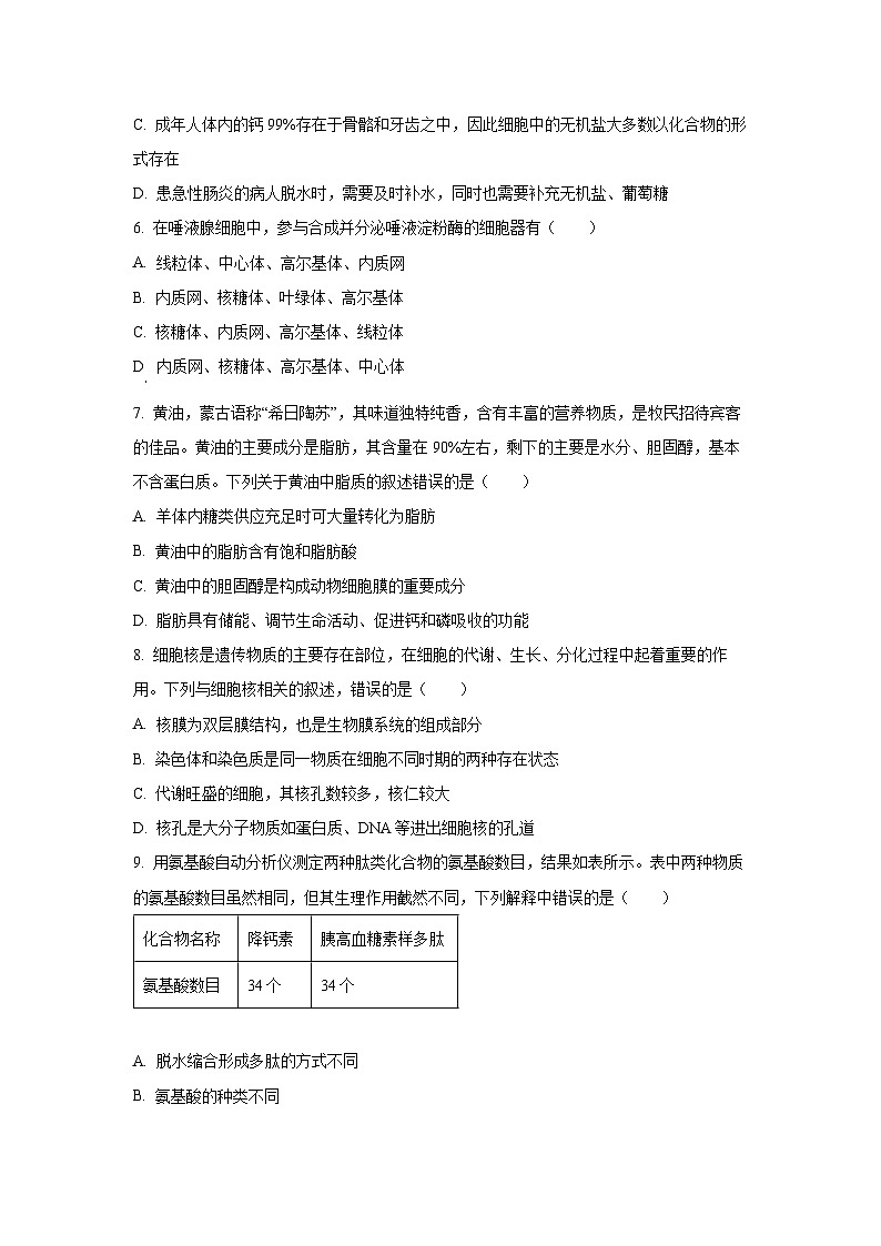 河北省沧州市盐山县2025-2026学年高一上学期11月期中生物试卷（学生版）第2页