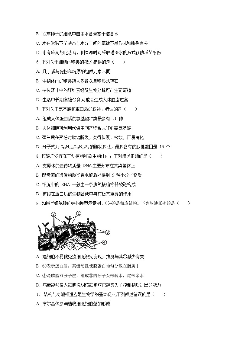 黑龙江省龙东十校联盟2025-2026学年高一上学期期中考试生物试卷（学生版）第2页