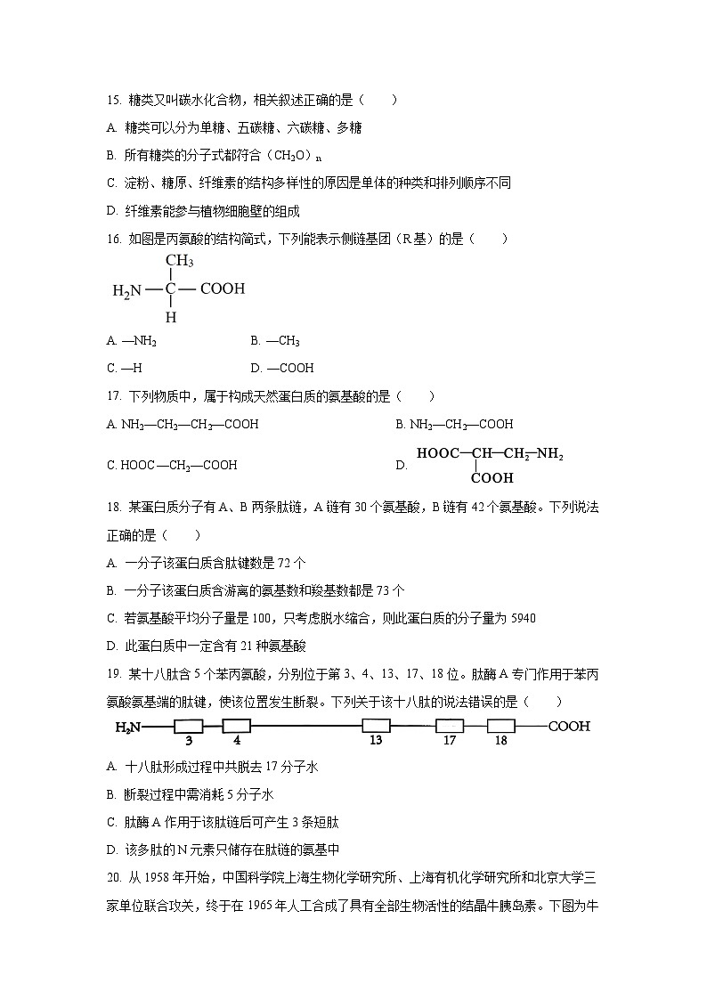 江苏省扬州市广陵区2025-2026学年高一上学期10月月考生物试卷（学生版）第3页