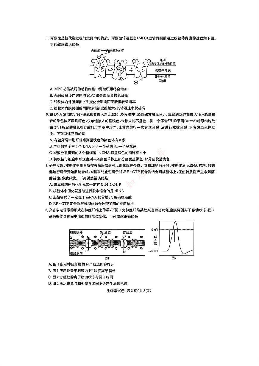 湖南省新高考教学教研联盟2026届高三年级12月联考（长郡二十校联盟）生物第2页