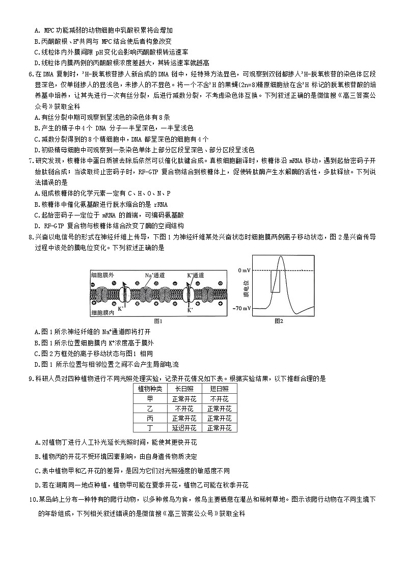 湖南省长郡二十校联盟2025-2026年高三上12月月月考生物试卷（含解析）第2页