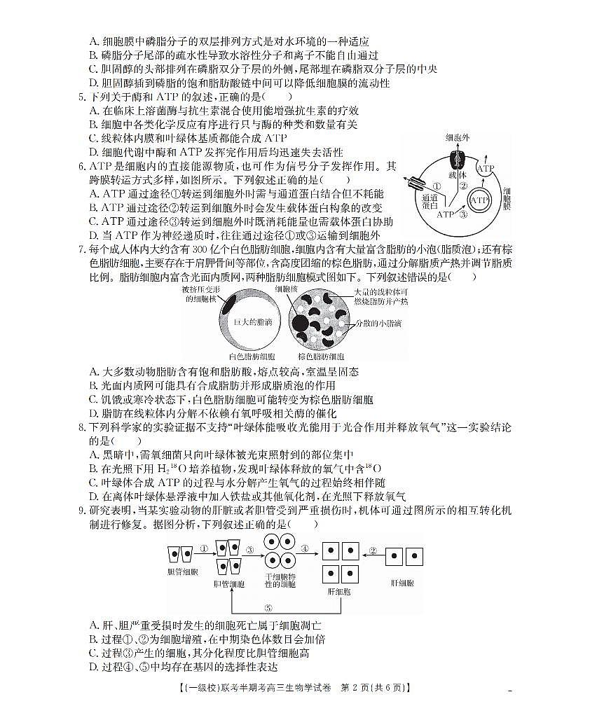 福建省龙岩市一级校联盟2026届高三上学期12月半期考生物试卷+答案第2页