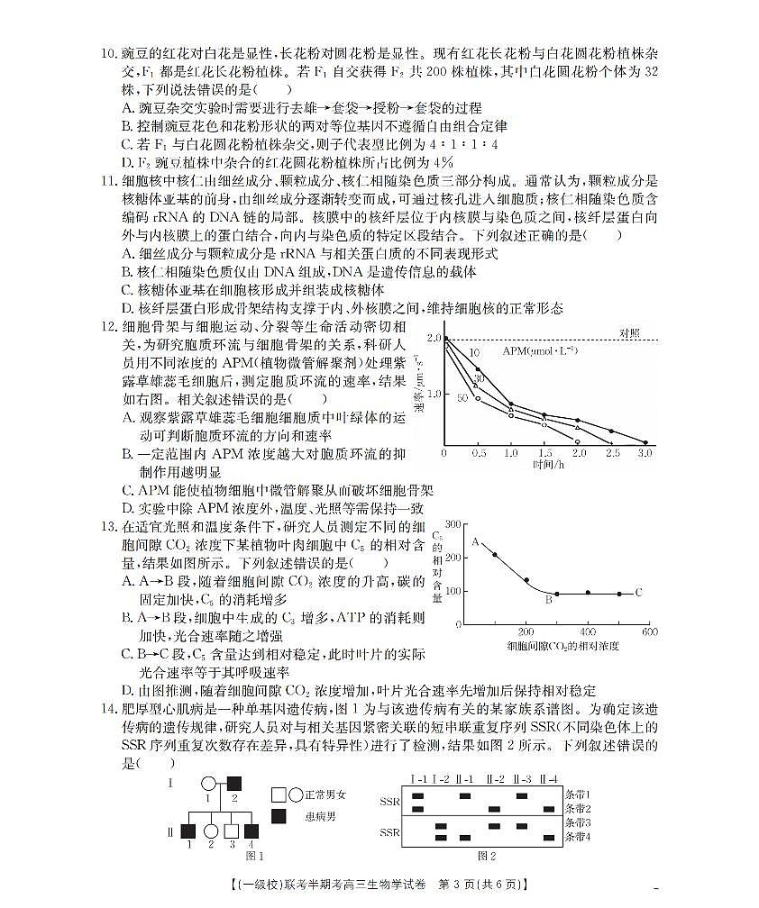 福建省龙岩市一级校联盟2026届高三上学期12月半期考生物试卷+答案第3页