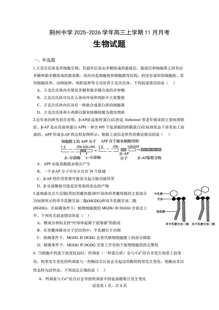 湖北荆州中学2026届高三上学期上学期11月月考生物试题无答案第1页