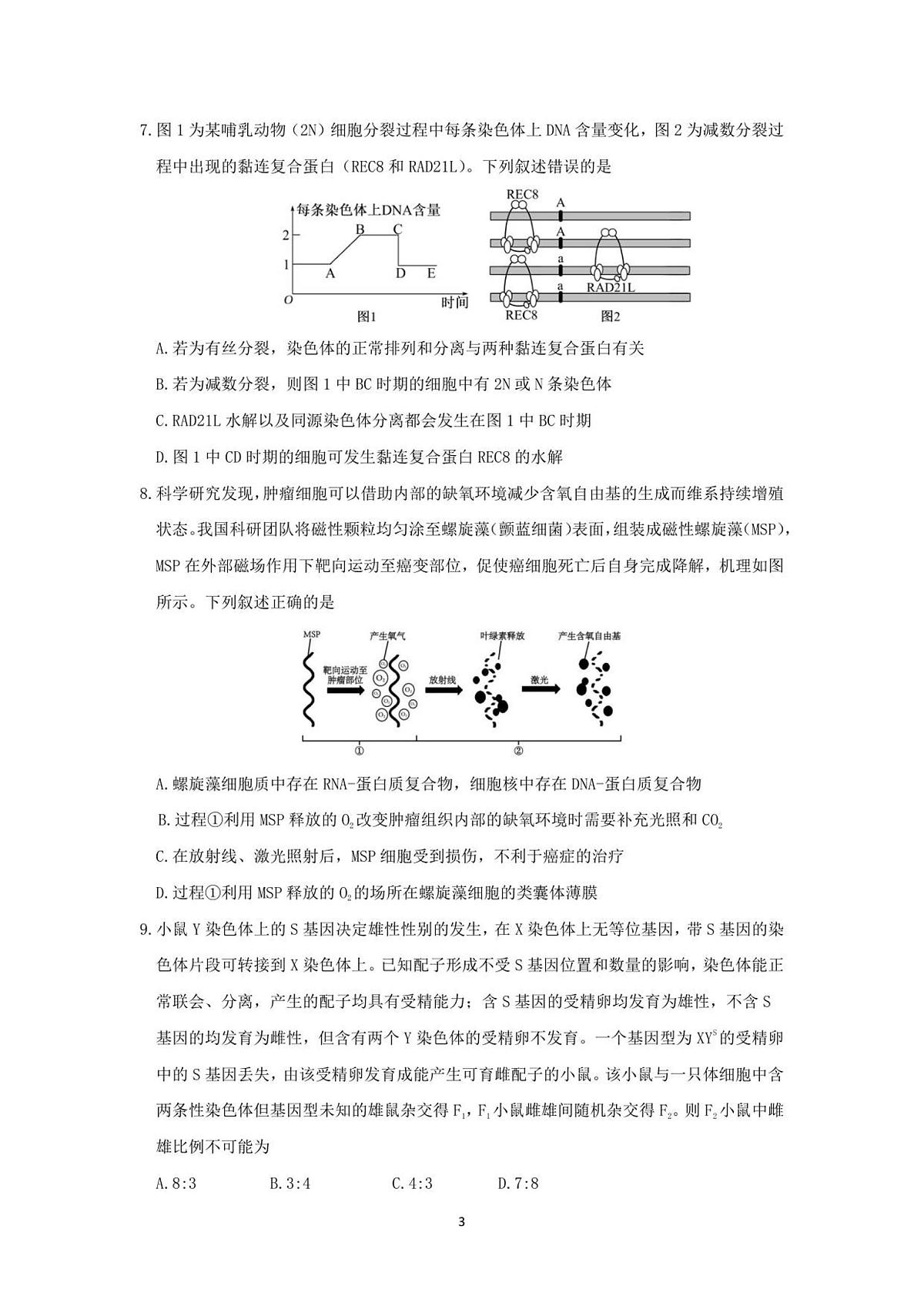 山东师范大学附属中学2025-2026学年高三上学期11月期中考试生物试题第3页