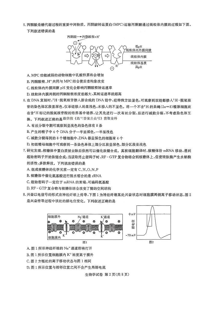 生物第2页