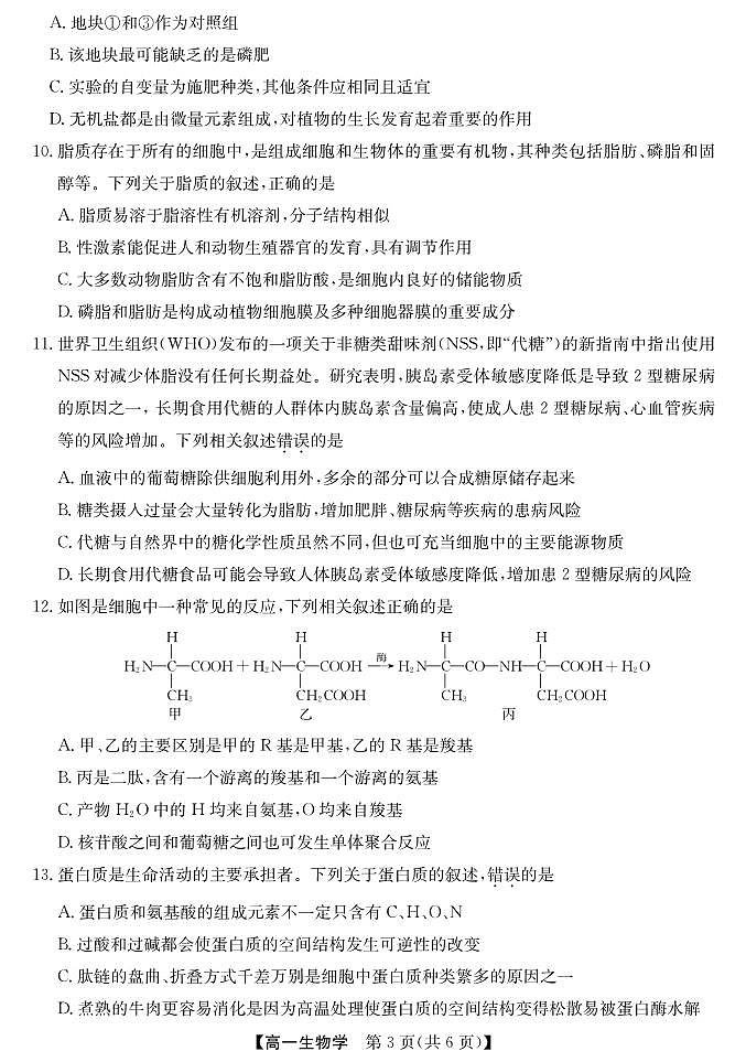 安徽省江淮名校2025-2026学年高一上学期阶段联考生物试卷（含答案）第3页