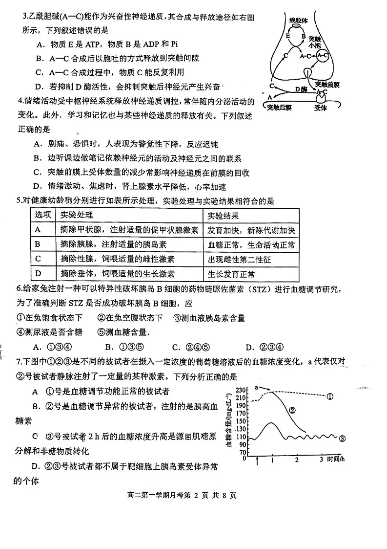 山东省实验中学2023-2024学年高二上学期10月月考 生物含答案第2页