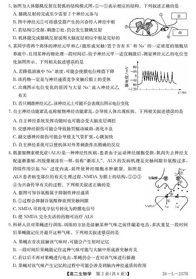 安徽省江淮名校2025-2026学年高二上学期阶段联考生物试卷（含答案）第2页