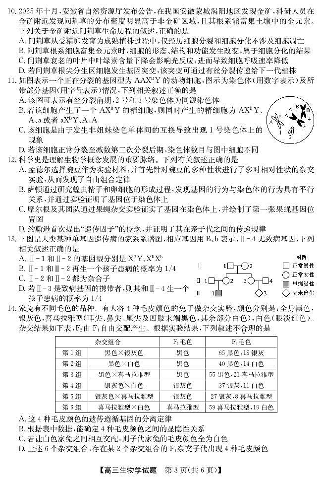 安徽省五校联盟2026届高三年级上学期11月第一次五校联考生物试卷（含答案）第3页