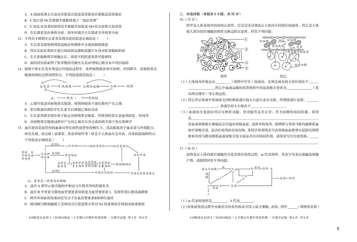 安徽省A10联盟宿州十三校2024级高二上学期11月期中质量检测【生物试卷】（D卷）（含答案）第3页