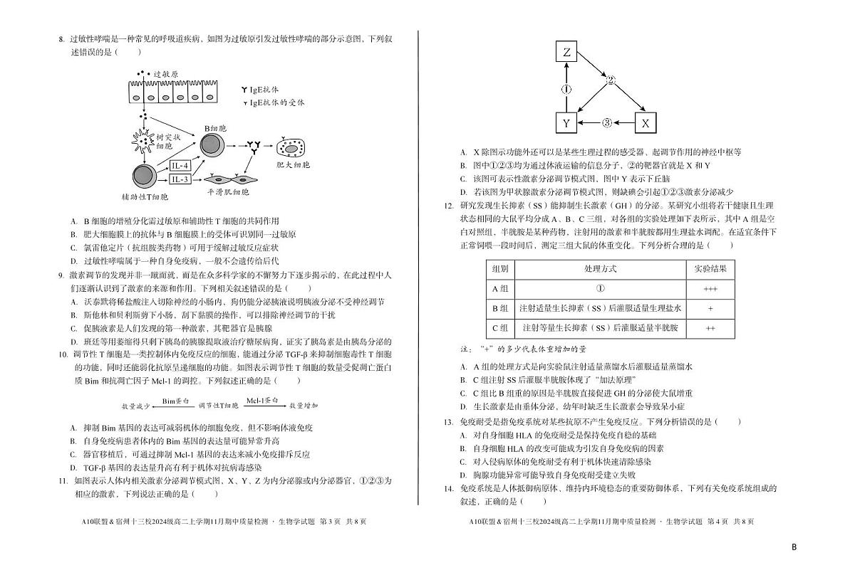 安徽省A10联盟宿州十三校2024级高二上学期11月期中质量检测【生物试卷】（B卷）（含答案）第2页