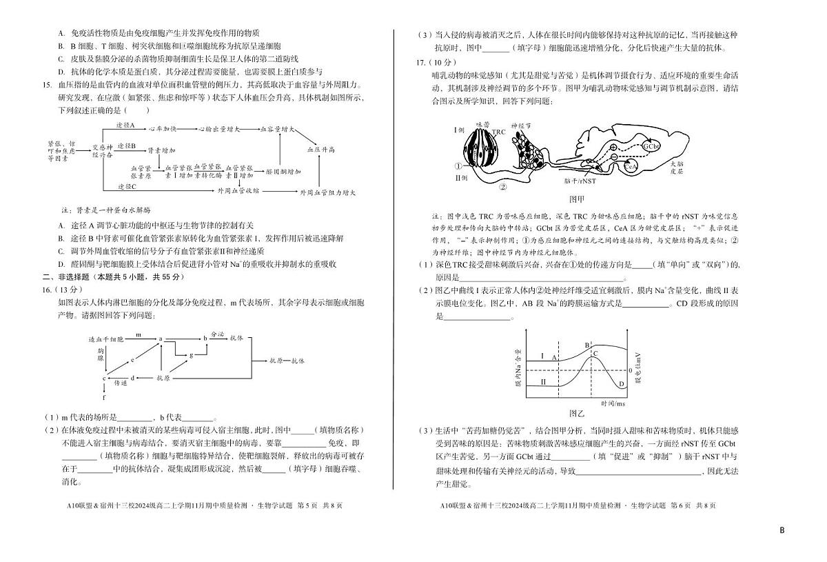 安徽省A10联盟宿州十三校2024级高二上学期11月期中质量检测【生物试卷】（B卷）（含答案）第3页