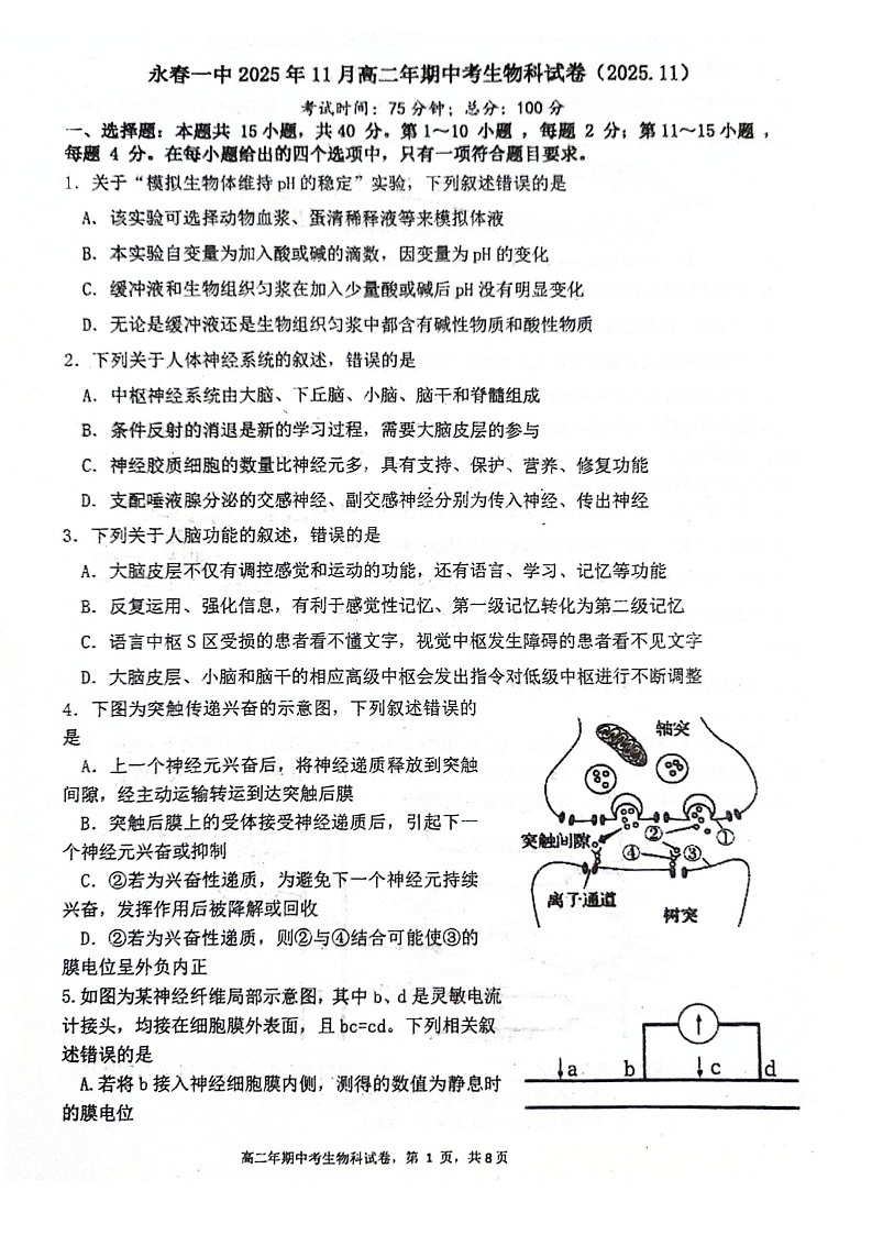 福建省永春第一中学2025-2026学年高二上学期11月期中考试生物试卷第1页