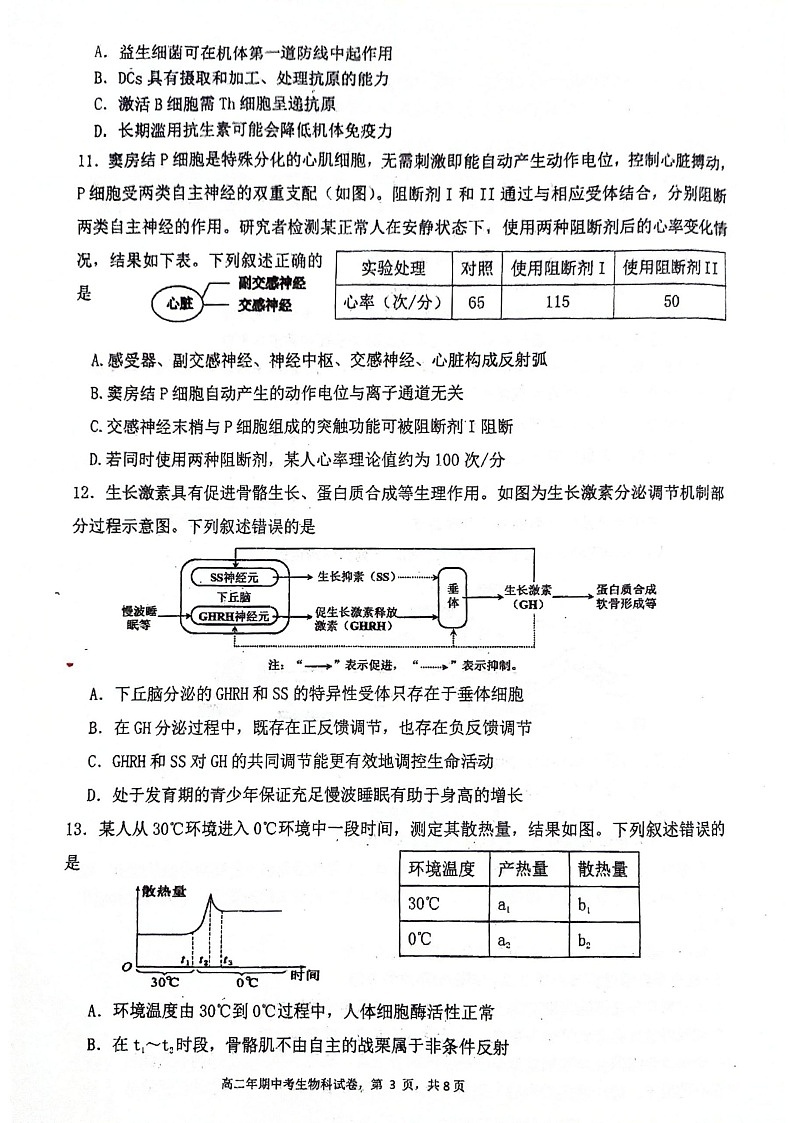 福建省永春第一中学2025-2026学年高二上学期11月期中考试生物试卷第3页