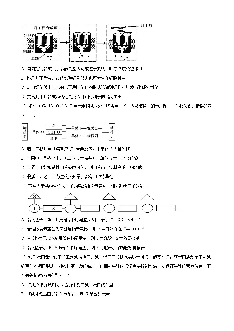 湖北省2025-2026学年高一上学期11月期中考试生物试卷第3页