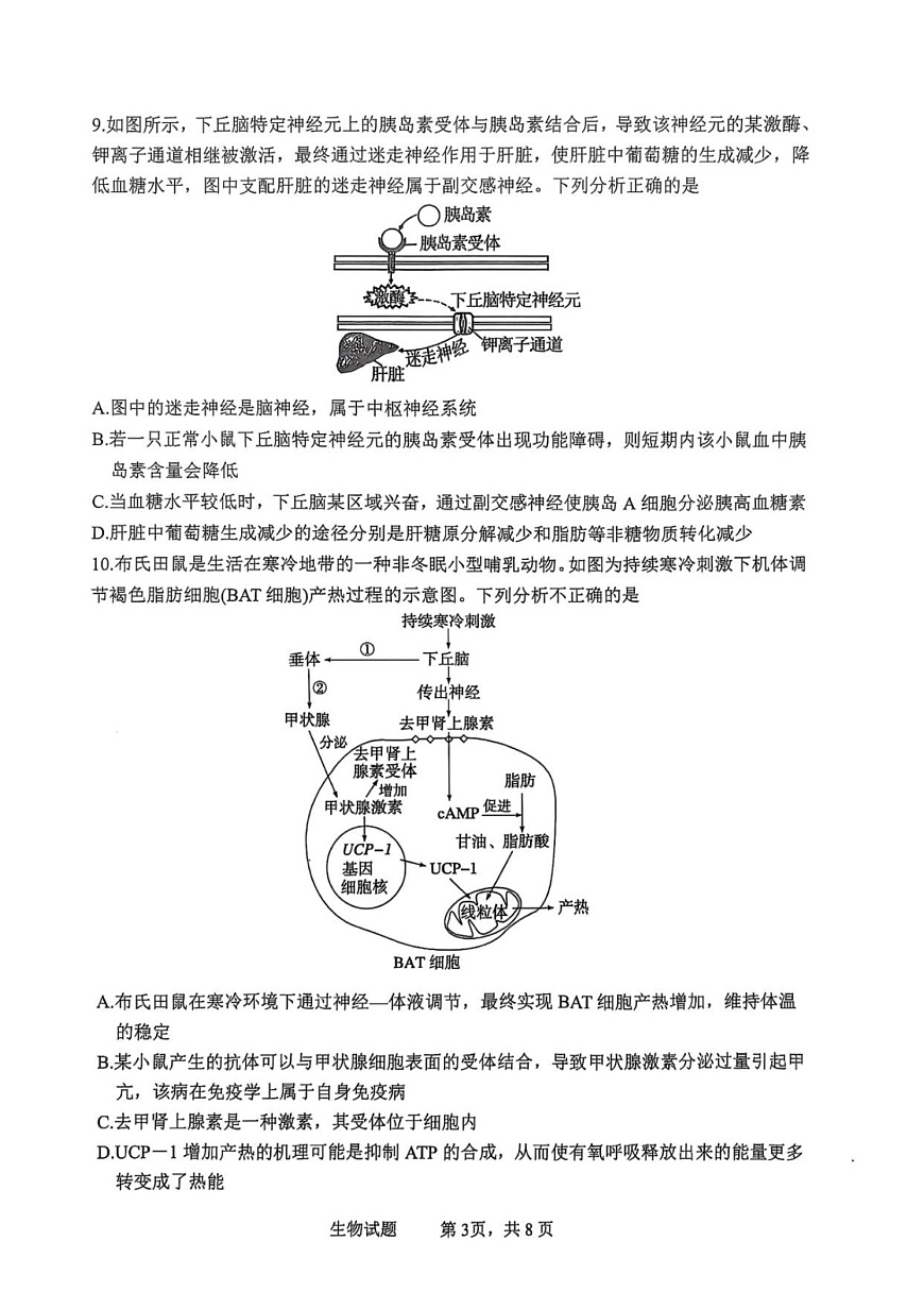四川省泸州市泸县2025-2026学年高二上学期11月期中考试生物试卷第3页