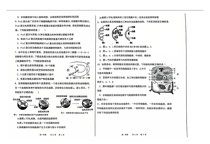 辽宁省七校2025-2026学年高一上学期11月期中考试生物试卷第2页