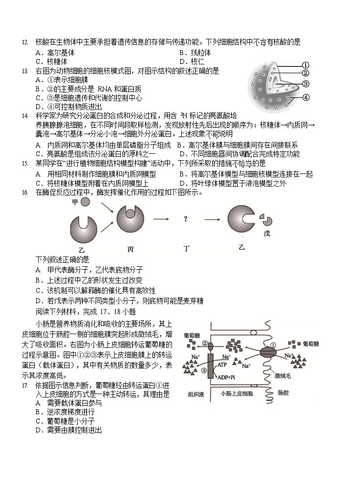浙江省杭州重点中学2025-2026学年高一上学期11月期中考试生物试卷第3页