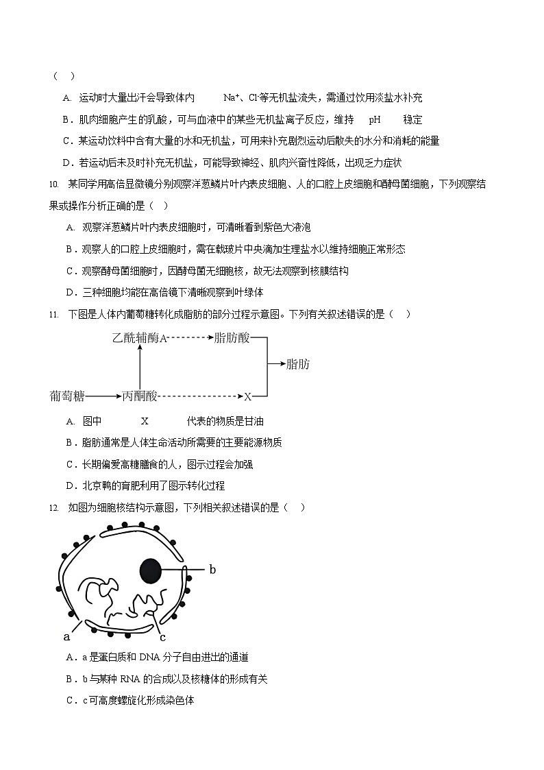 浙江省宁波市三锋联盟2025-2026学年高一上学期11月期中考试生物试卷第3页