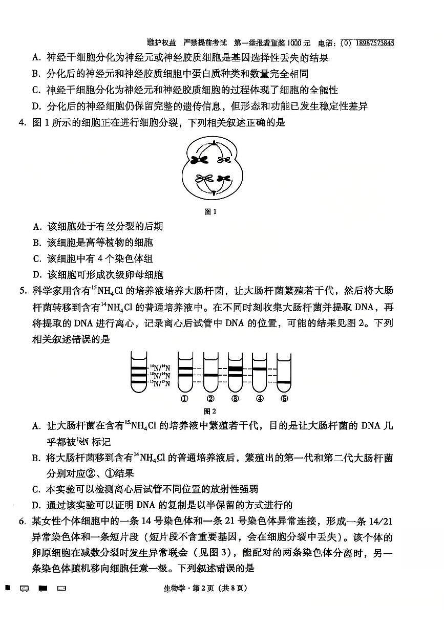 云南师大附中2026届高三上学期12月高考适应性月考卷（五）生物试题+答案第2页
