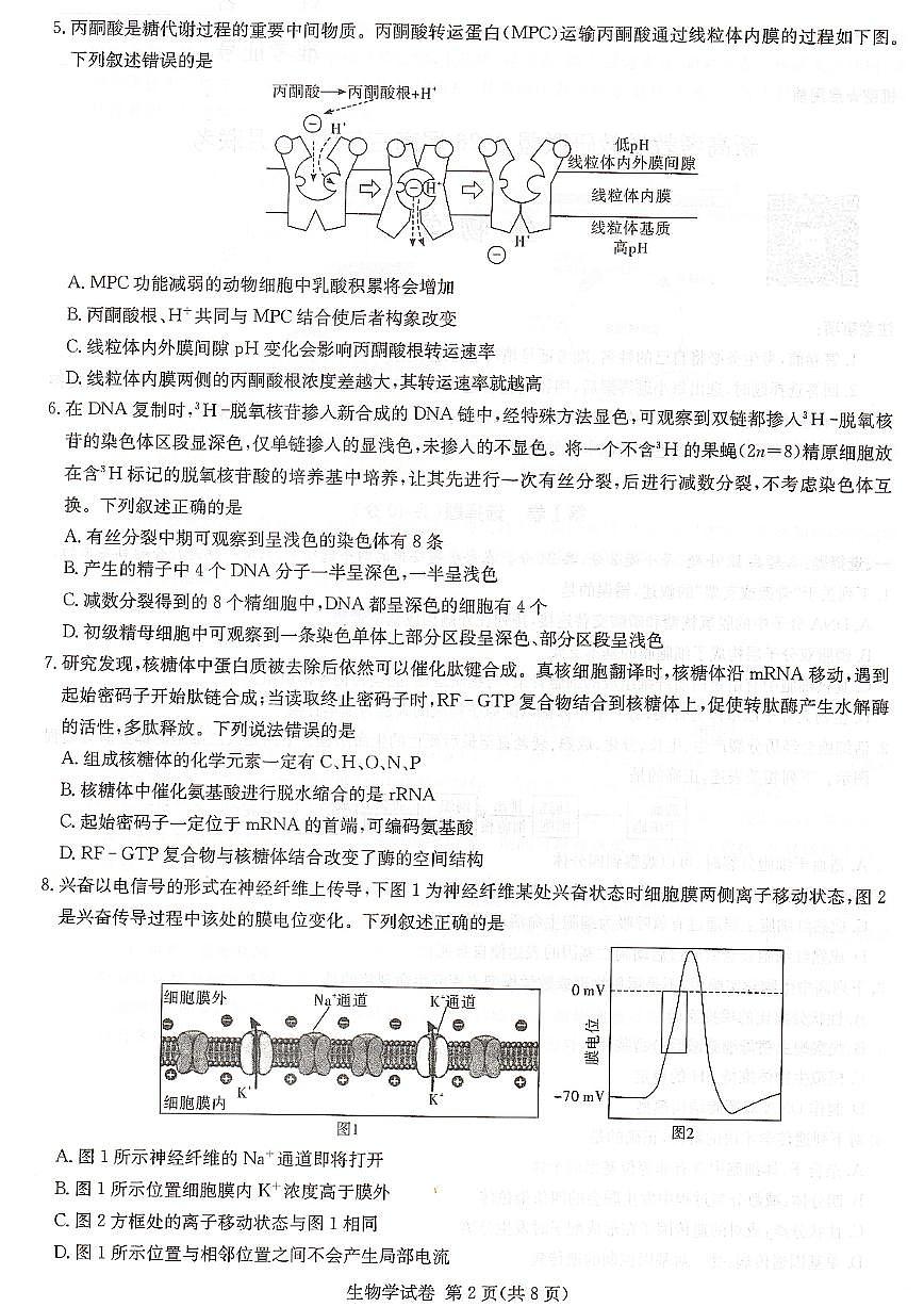湖南省长郡二十校教研联盟2026届高三上学期12月考生物试题+答案第2页