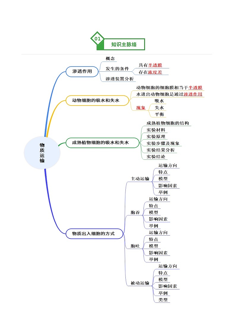 高考生物一轮复习-物质运输（知识清单）（全国通用）（原卷版）第2页