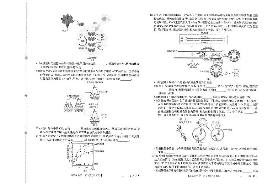 江西省2026届高三上学期11月联考（JX）生物试卷+答案第3页