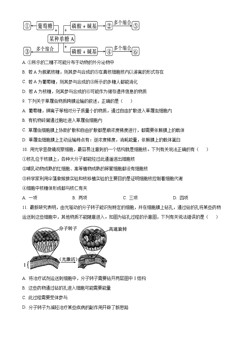 湖北省楚天协作体2025-2026学年高一上学期11月期中生物试题（原卷版）第3页
