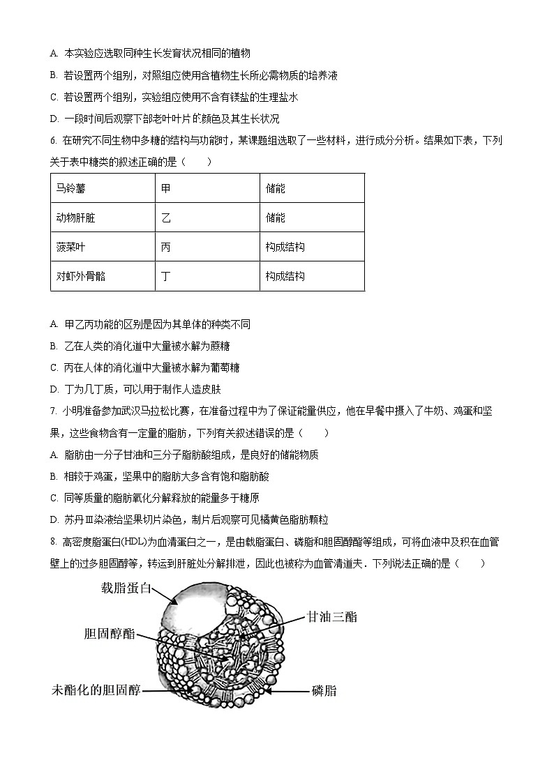 湖北省鄂东南2025-2026学年高一上学期期中联考生物试题（原卷版）第2页