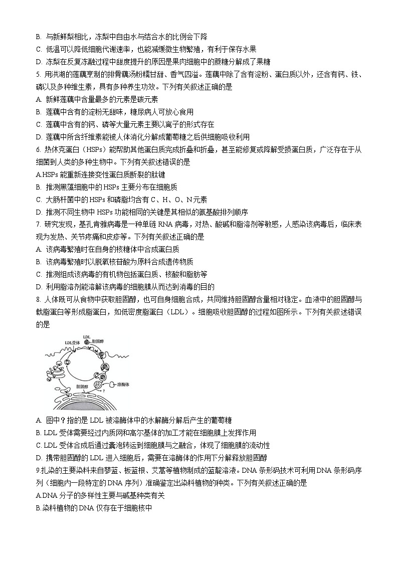 湖北省武汉市部分重点中学（六校联考）2025-2026学年高一上学期期中生物试卷（Word版附答案）第2页