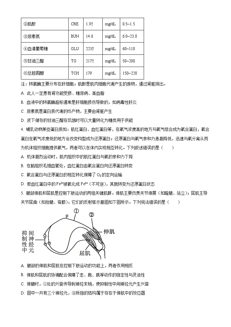 湖北省圆创2025-2026学年高二上学期11月期中阶段练习生物试题（原卷版）第2页