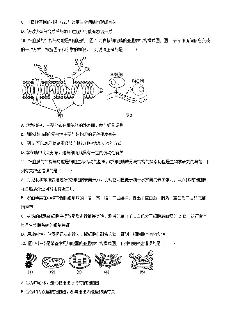 湖南省名校联盟联考2025-2026学年高一上学期11月期中生物试题（原卷版）第3页