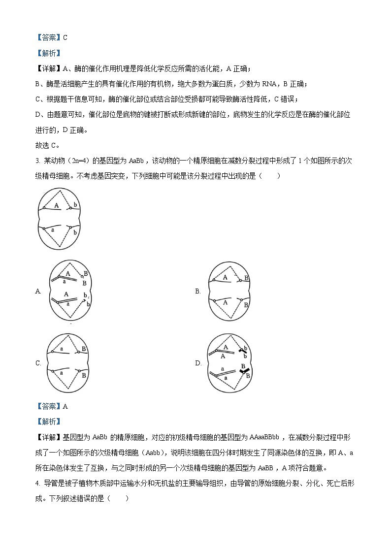 湖南省天壹大联考2025-2026学年高二上学期11月期中生物试题 Word版含解析第2页