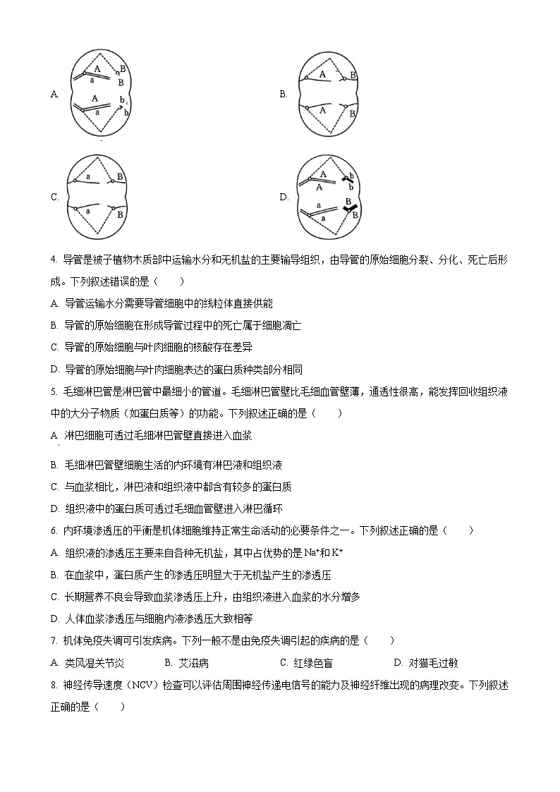 湖南省天壹大联考2025-2026学年高二上学期11月期中生物试题（原卷版）第2页