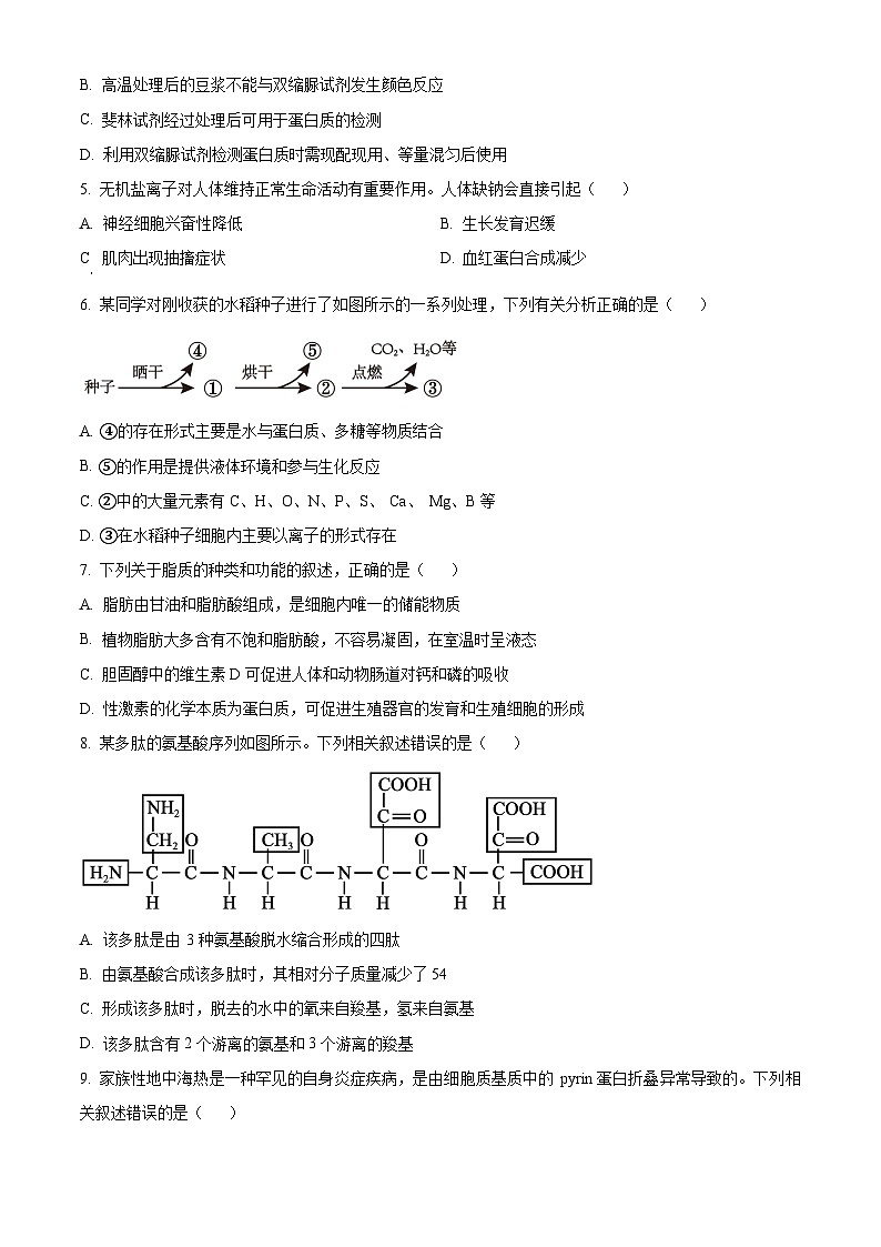 湖南省湘一名校联盟2025-2026学年高一上学期11月期中生物试题（原卷版）第2页