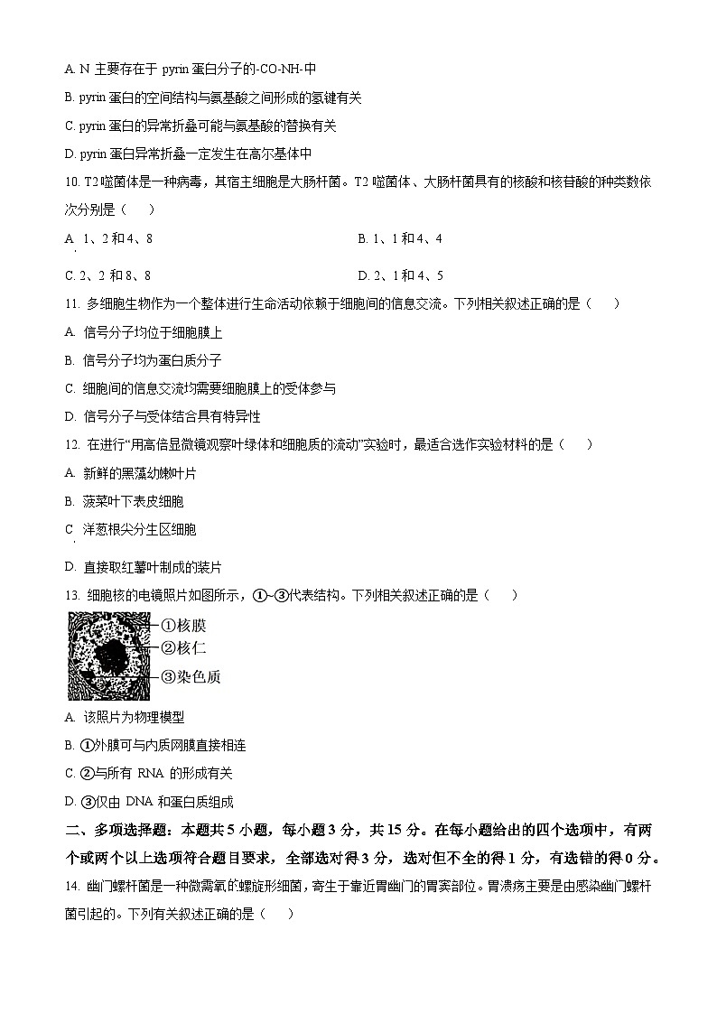 湖南省湘一名校联盟2025-2026学年高一上学期11月期中生物试题（原卷版）第3页