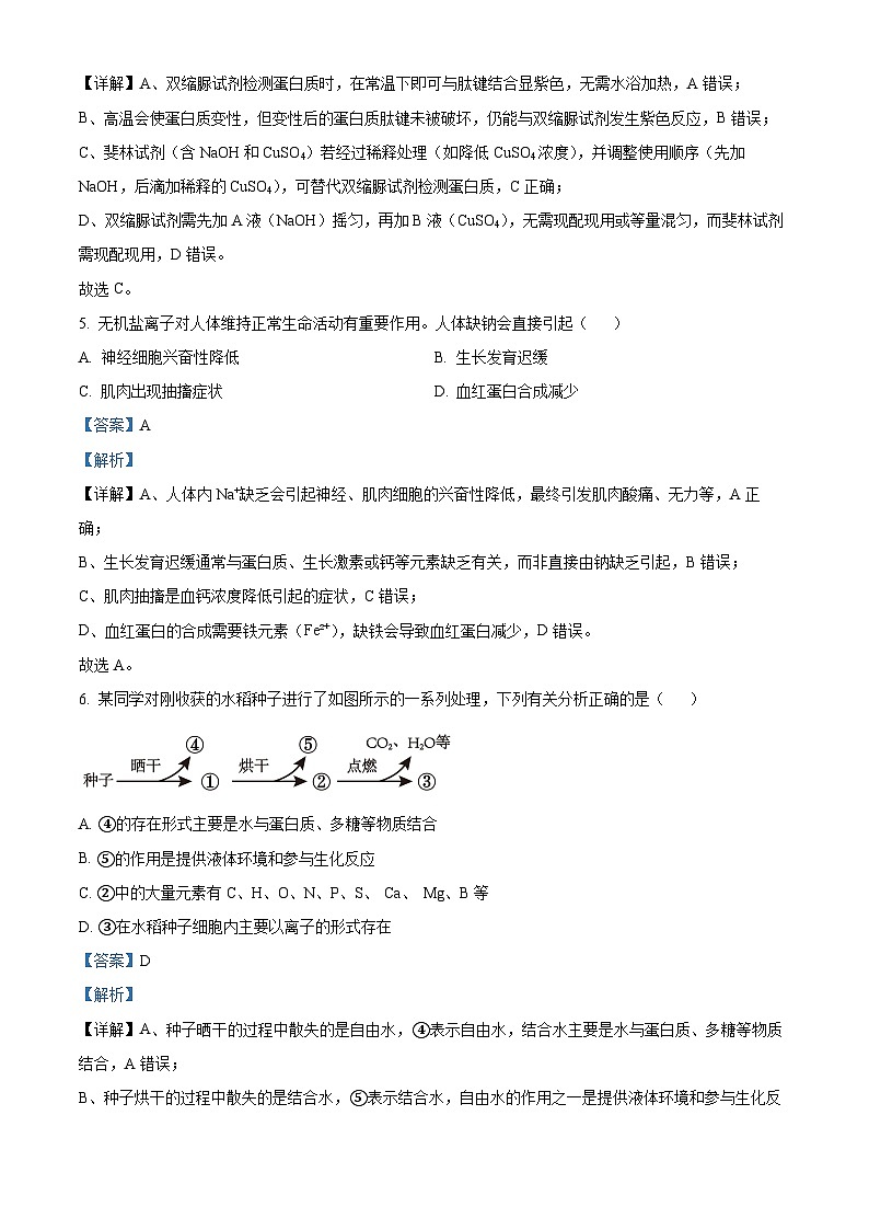 湖南省湘一名校联盟2025-2026学年高一上学期11月期中生物试题 Word版含解析第3页