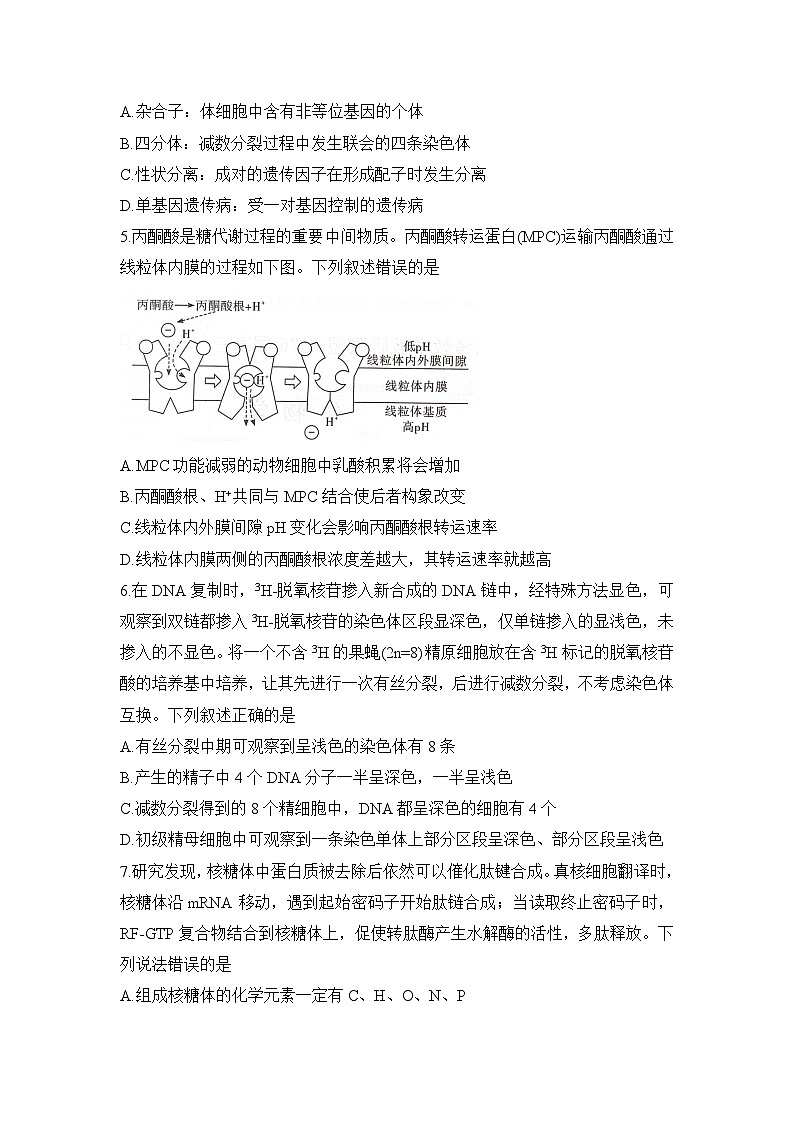 湖南省新高考教学教研联盟2026届高三上学期12月联考生物试题第2页