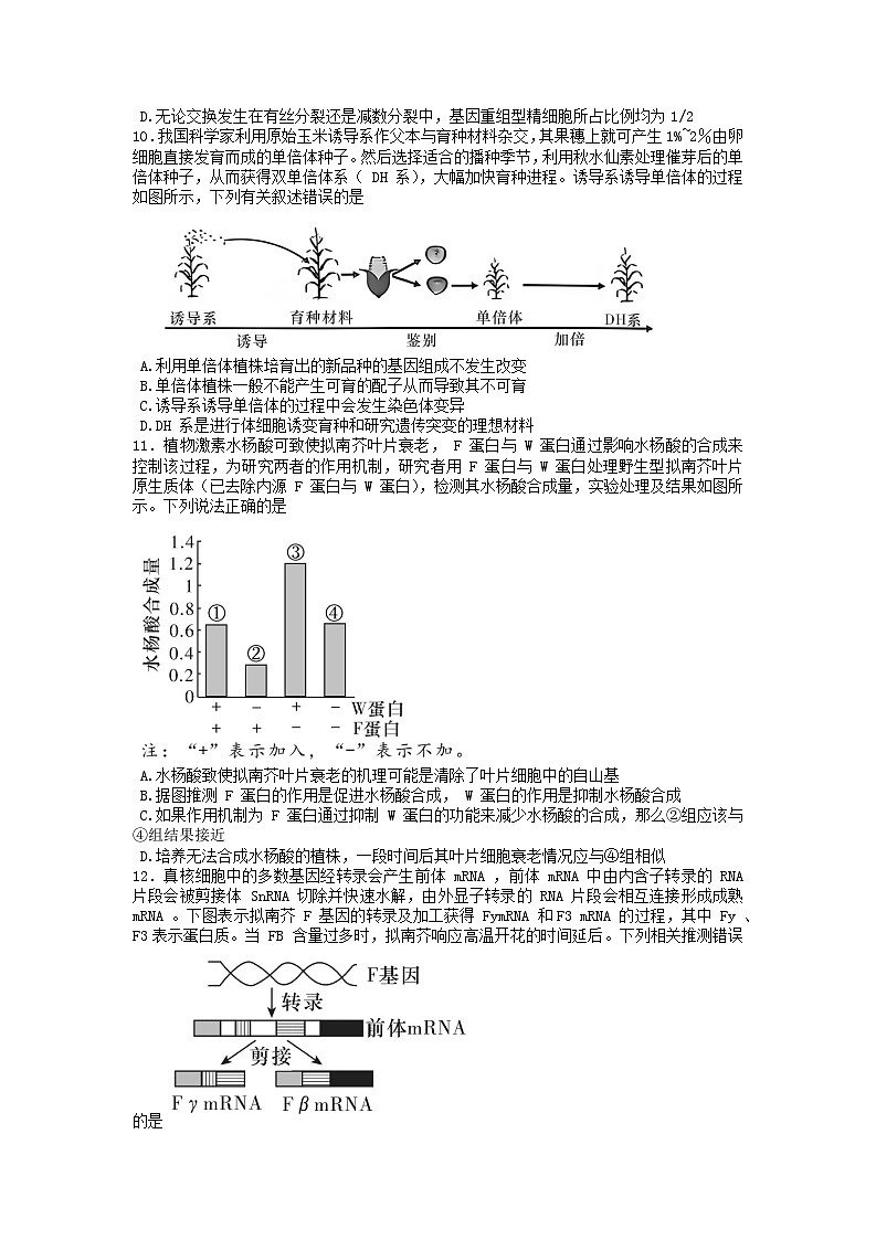 湖南师范大学附属中学2025-2026学年高三上学期月考试卷四生物试题第3页