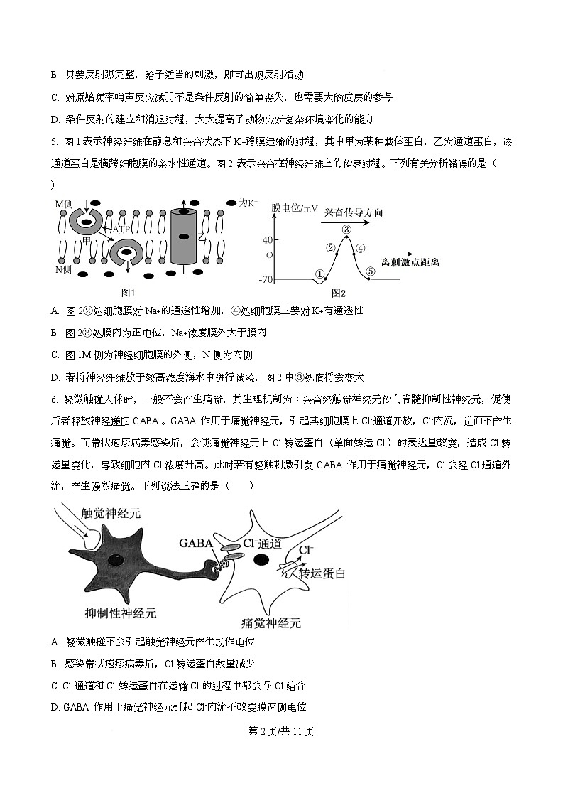 重庆市第八中学2025-2026学年高二上学期期中考试生物试题（原卷版）第2页