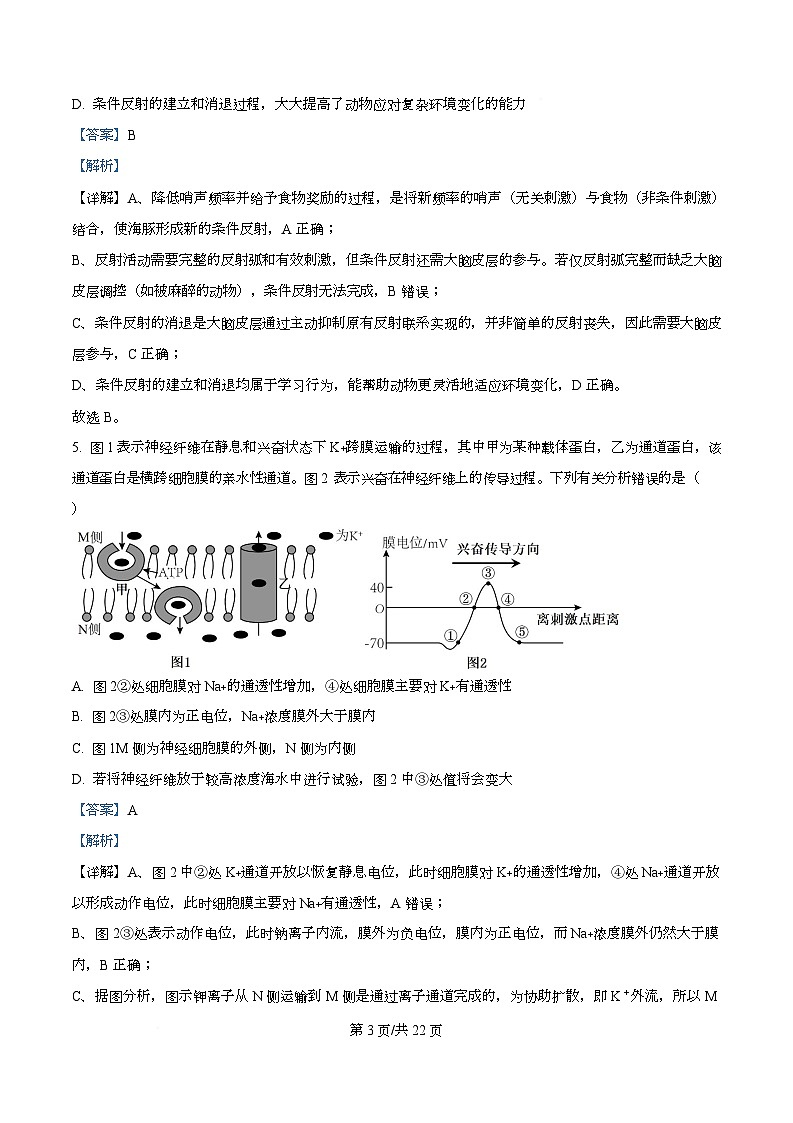重庆市第八中学2025-2026学年高二上学期期中考试生物试题 Word版含解析第3页