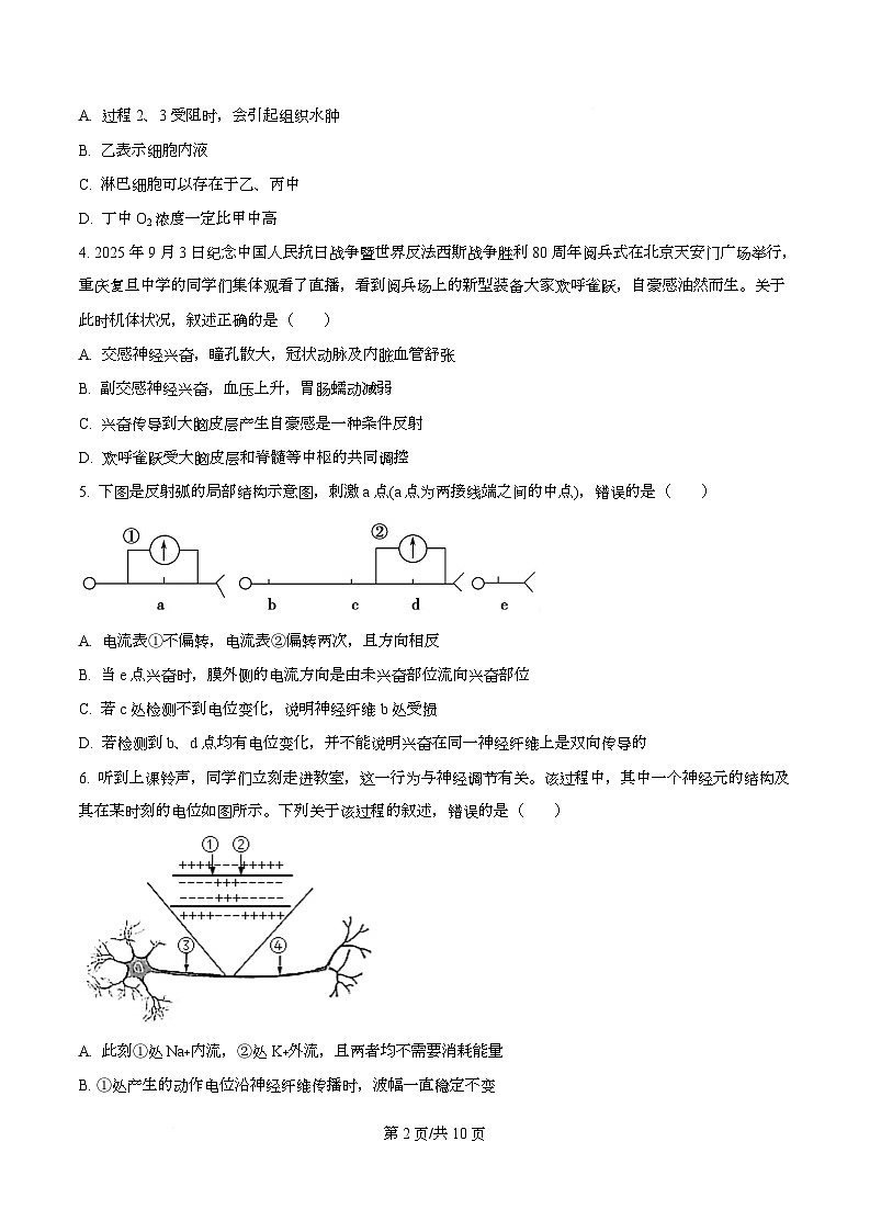 重庆市复旦中学教共体2025-2026学年高二上学期期中考试生物试题（原卷版）第2页