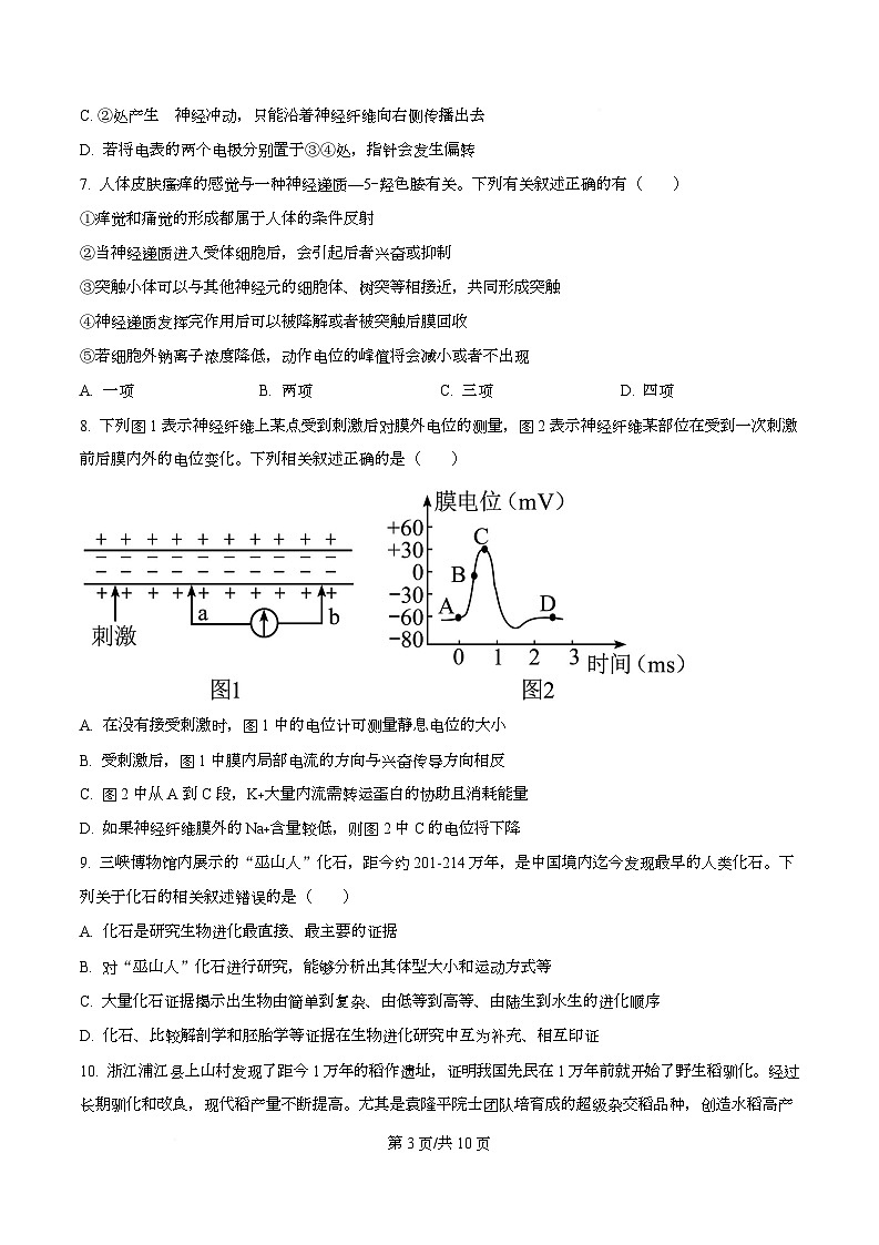 重庆市复旦中学教共体2025-2026学年高二上学期期中考试生物试题（原卷版）第3页