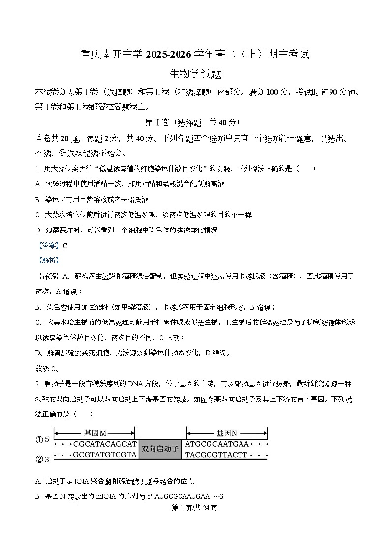 重庆市南开中学2025-2026学年高二上学期11月期中生物试题 Word版含解析第1页