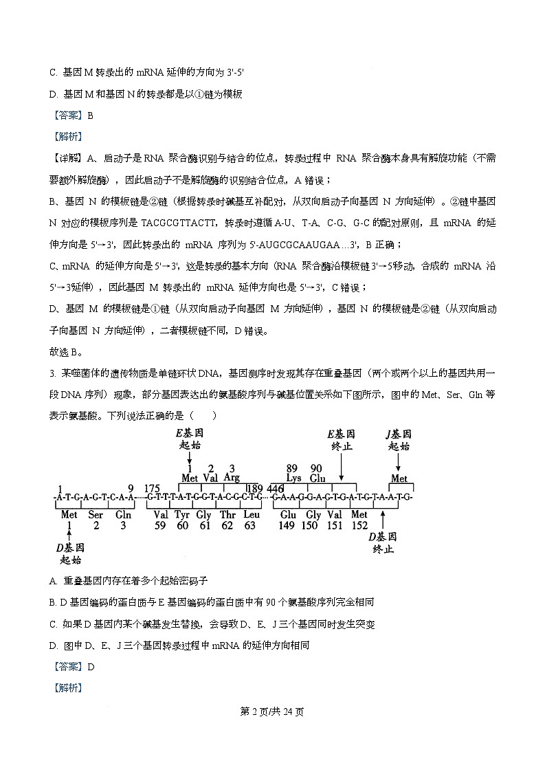 重庆市南开中学2025-2026学年高二上学期11月期中生物试题 Word版含解析第2页