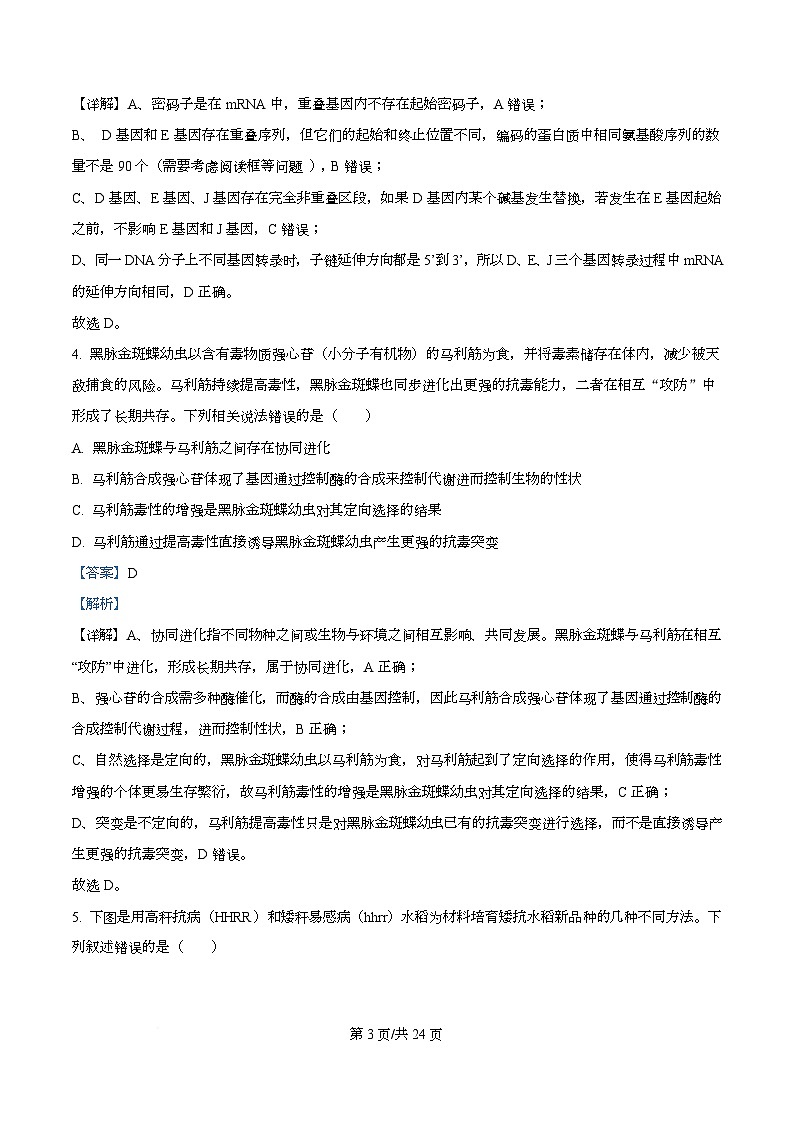 重庆市南开中学2025-2026学年高二上学期11月期中生物试题 Word版含解析第3页