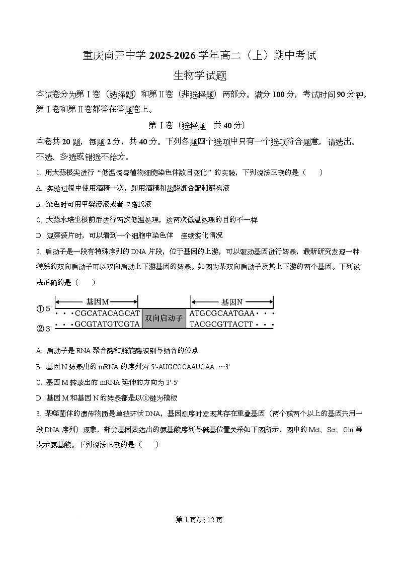 重庆市南开中学2025-2026学年高二上学期11月期中生物试题（原卷版）第1页